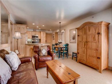 Mountain Views Lionshead Ski Rental Two Bedroom Ski Condo